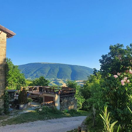 Le Ginestre Guesthouse Assisi Eksteriør billede