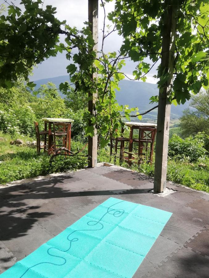 Le Ginestre Guesthouse Assisi Eksteriør billede
