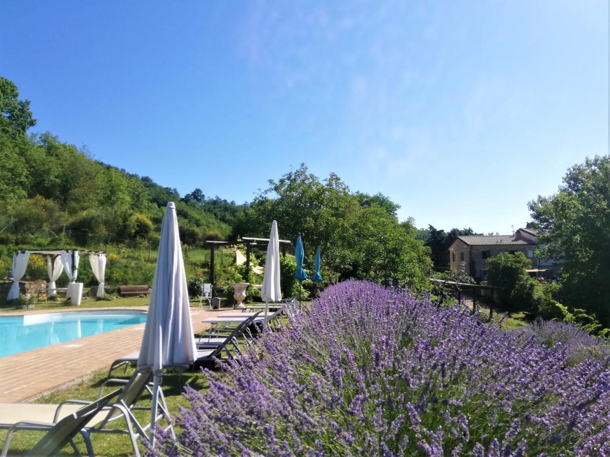 Le Ginestre Guesthouse Assisi Eksteriør billede