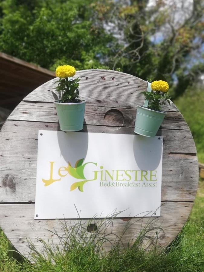 Le Ginestre Guesthouse Assisi Eksteriør billede