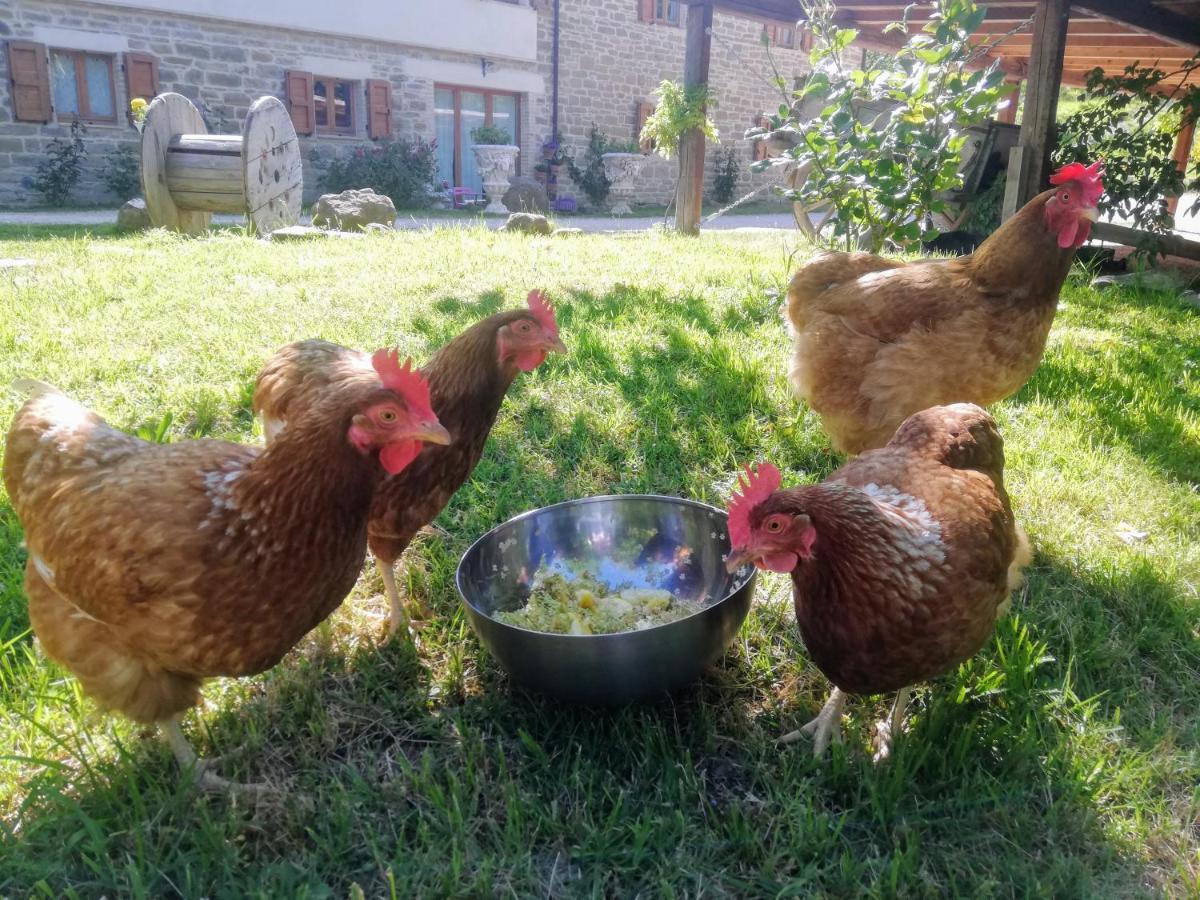 Le Ginestre Guesthouse Assisi Eksteriør billede