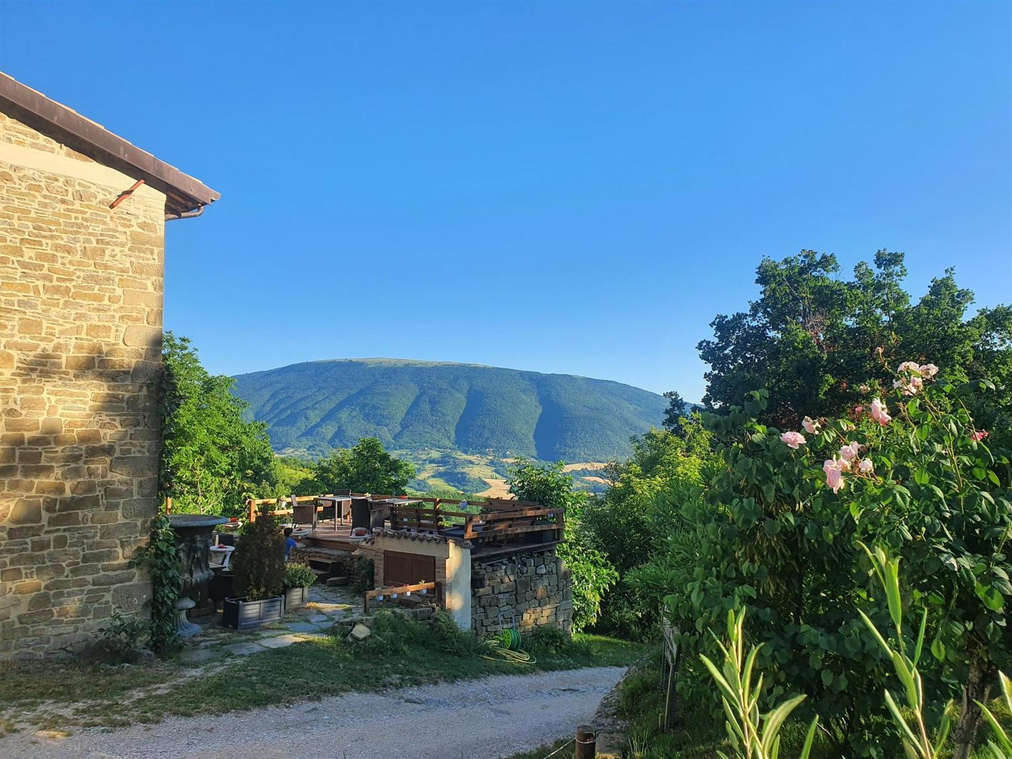 Le Ginestre Guesthouse Assisi Eksteriør billede