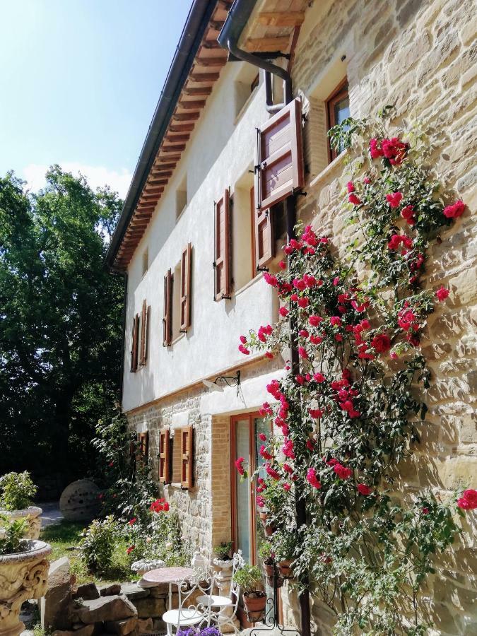 Le Ginestre Guesthouse Assisi Eksteriør billede